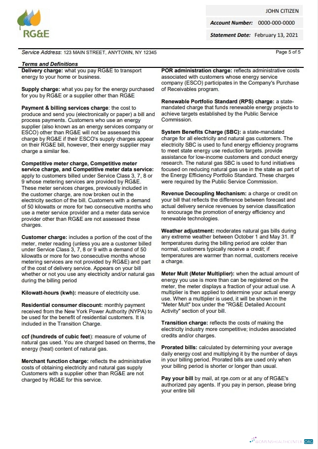 download download USA RG&E utility bill template in Word and PDF format (2 pages) 5 PDF template PDF template
